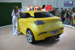 Qirui-Fulwin-II-Coupe-_2006XI-