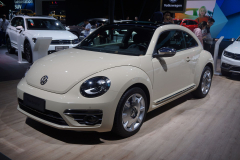 Volkswagen-Beetle-_2019IV___